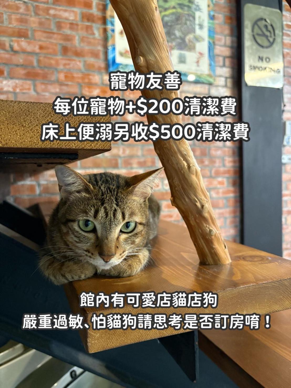 缽割貓點點 青旅 Diandian Hostel Puli Kültér fotó